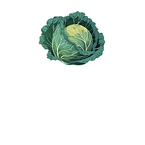 Idylwilde-Cabbage-02